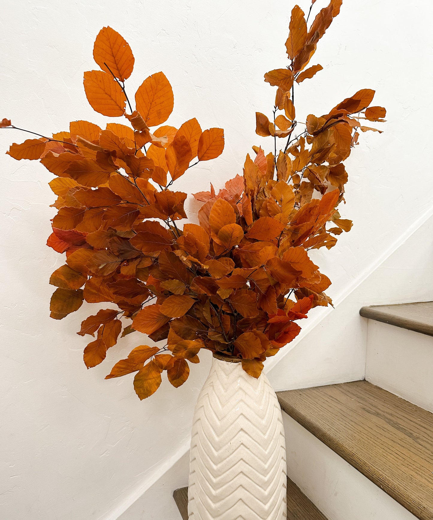 Preserved Fall Leaves, Copper Beech